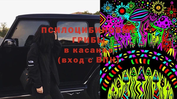 ешки Алексеевка