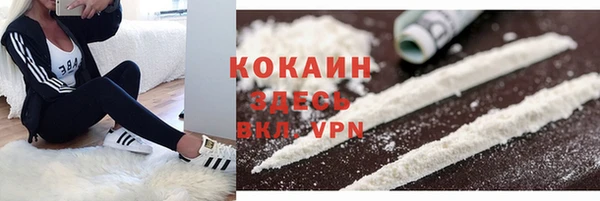не бодяженный Арсеньев