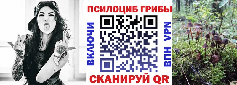 Галлюциногенные грибы мицелий  Набережные Челны 