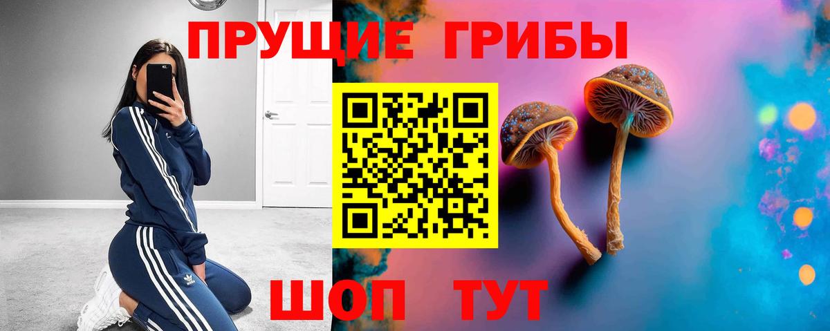 Набережные Челны  Псилоцибиновые грибы Magic Shrooms  Псилоцибиновые грибы прущие грибы  Вход с VPN 